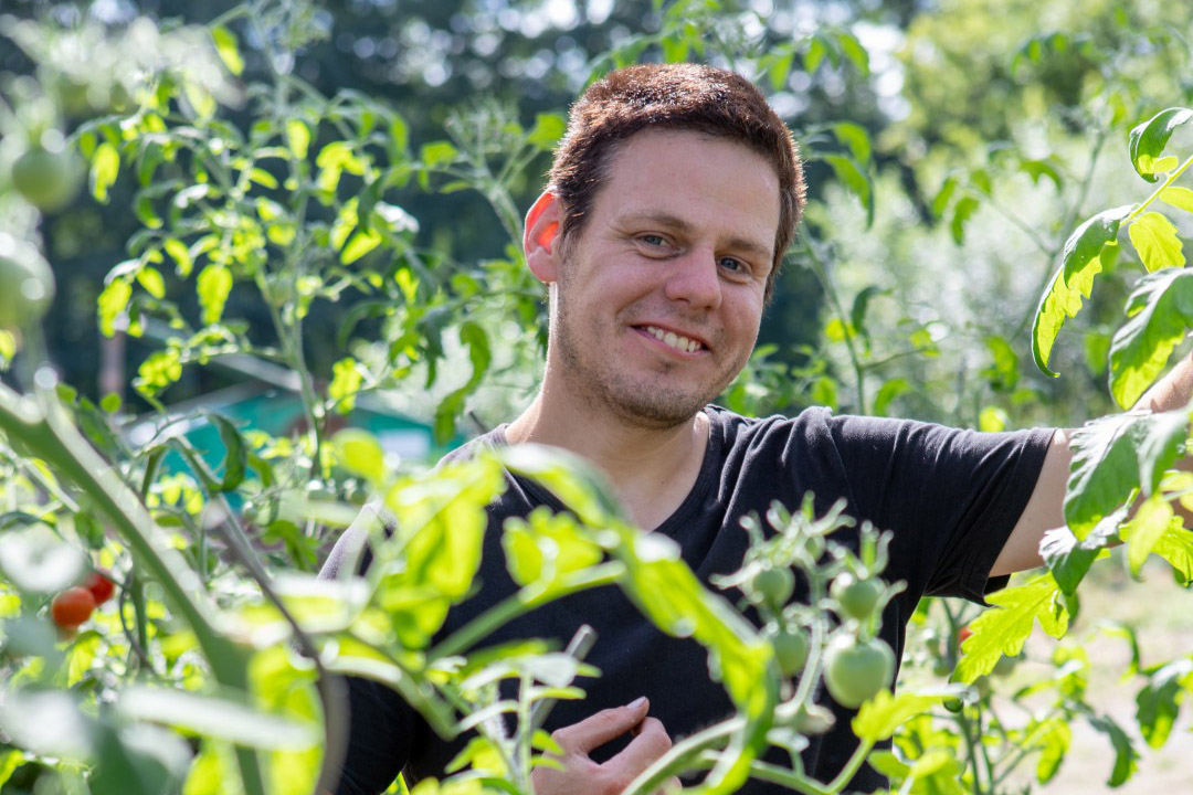 Gartenbau und Landschaftspflege