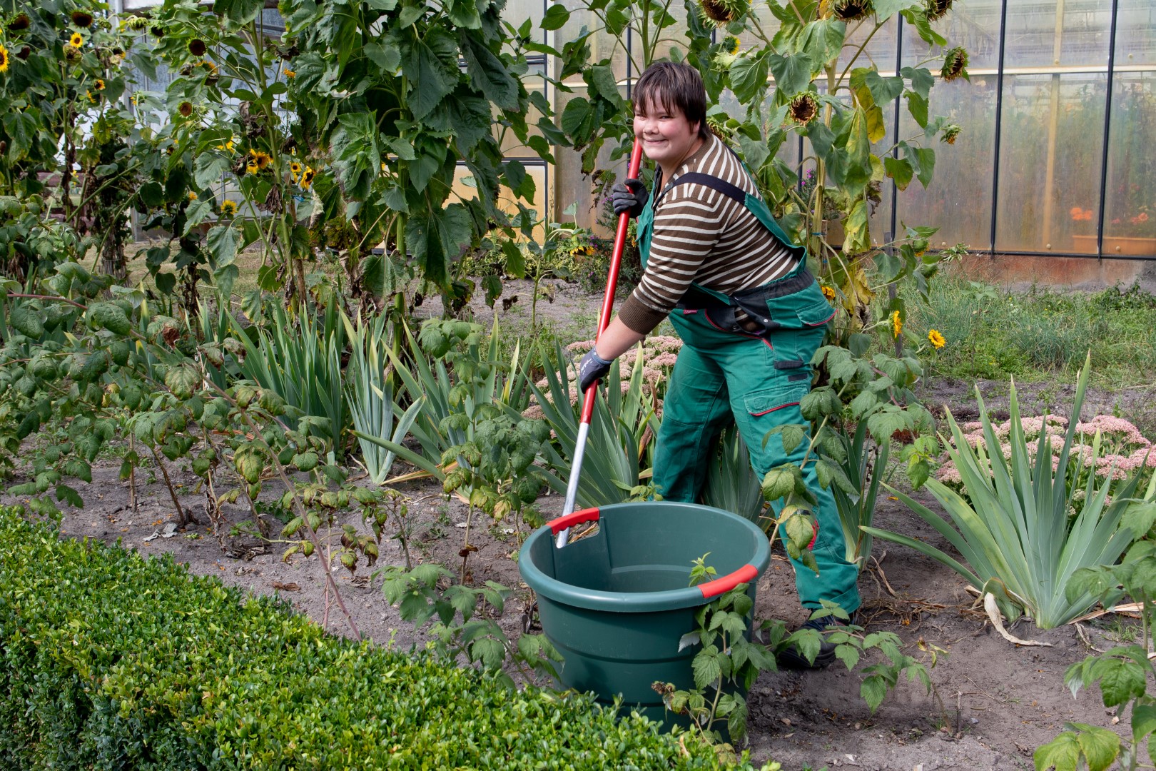 Gartenbau und Landschaftspflege